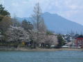 砂沼広域公園