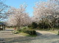 観桜苑